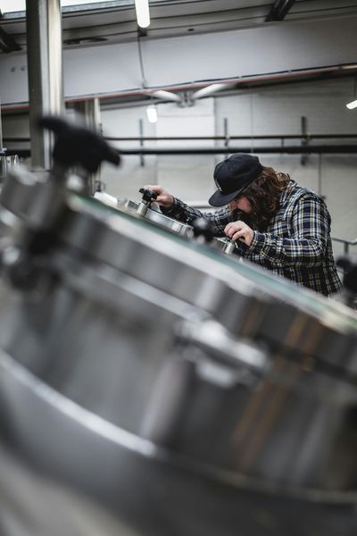 brewer checking the quality during beer production 